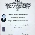 Ampliar imagen: certificate 3