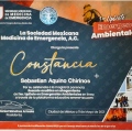 Ampliar imagen: certificate 4