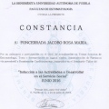 Ampliar imagen: certificate 59