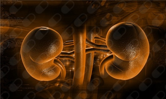 Emmanuel Ernesto Perez Granados-8