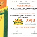 Ampliar imagen: certificate 19