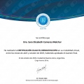 Ampliar imagen: certificate 7