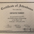 Ampliar imagen: certificate 7