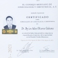Ampliar imagen: certificate 1