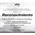 Ampliar imagen: certificate 5