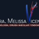 Melissa Lizzeth Vicencio Ramírez