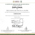 Ampliar imagen: certificate 3