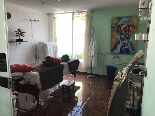 Claudine Guasco Herrera-4