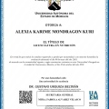 Ampliar imagen: certificate 1