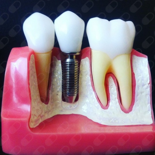 Gerardo Padrón Lagunes-17