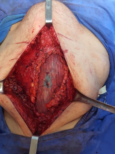 Gustavo Serrano Rueda-10