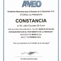 Ampliar imagen: certificate 7
