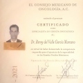 Ampliar imagen: certificate 3