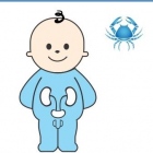  Teresa Eugenia González Fuentes