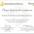 Ampliar imagen: certificate 3