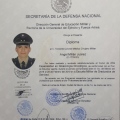 Ampliar imagen: certificate 5