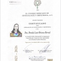 Ampliar imagen: certificate 6