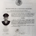 Ampliar imagen: certificate 7