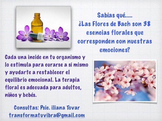 Iliana Tovar Lopez-6