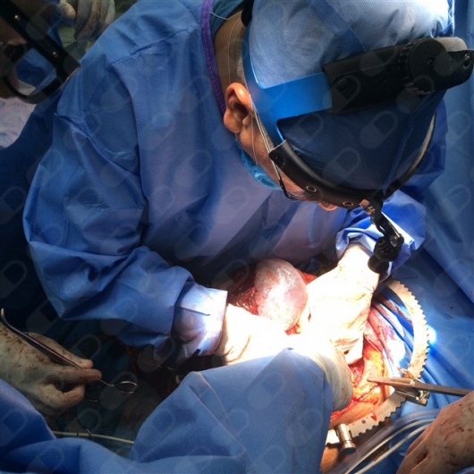 Francisco Alfonso Peinado Espinosa-7