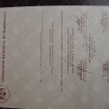 Ampliar imagen: certificate 43