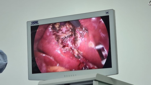 Carolina Terrazas Ramirez-10