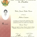 Ampliar imagen: certificate 4