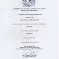 Ampliar imagen: certificate 33