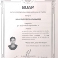 Ampliar imagen: certificate 3