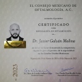 Ampliar imagen: certificate 1