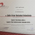 Ampliar imagen: certificate 6