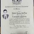 Ampliar imagen: certificate 5