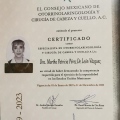 Ampliar imagen: certificate 1