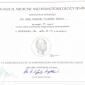 Ampliar imagen: certificate 9