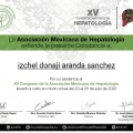 Ampliar imagen: certificate 3