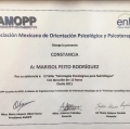 Ampliar imagen: certificate 5