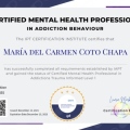 Ampliar imagen: certificate 3