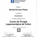 Ampliar imagen: certificate 61