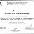 Ampliar imagen: certificate 9