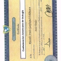Ampliar imagen: certificate 23