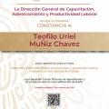 Ampliar imagen: certificate 17