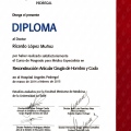 Ampliar imagen: certificate 4
