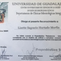 Ampliar imagen: certificate 29