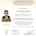 Ampliar imagen: certificate 2