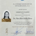 Ampliar imagen: certificate 2