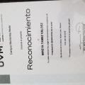 Ampliar imagen: certificate 11
