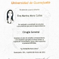 Ampliar imagen: certificate 6