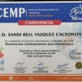 Ampliar imagen: certificate 10
