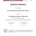 Ampliar imagen: certificate 4
