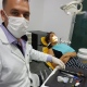 Andy Gonzalez Pérez